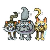 TS THREE CATS STANDING X LARGE