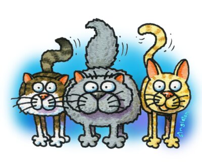 TS THREE CATS STANDING colour BG LARGE
