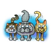 TS THREE CATS STANDING colour BG LARGE