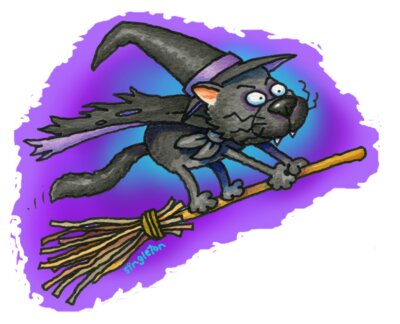 TS WITCHY CAT ON BROOM trans BG LARGE 2