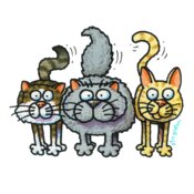 TS THREE CATS STANDING XX LARGE