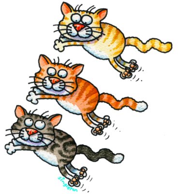 TS 3 CATS JUMPING LARGE