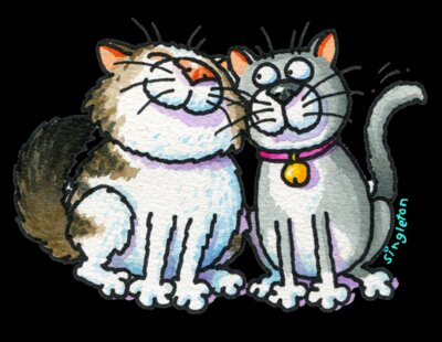 TS TWO HAPPY CATS USE
