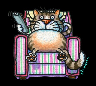 TS cat on couch X LARGE USE