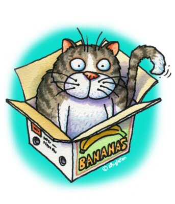 TS CAT IN BOX CUP ART  USE THIS