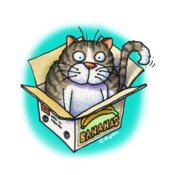 TS CAT IN BOX CUP ART  USE THIS