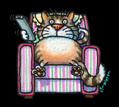 TS cat on couch LARGE USE 25 9 2017