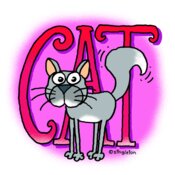 TS CAT 3 PRINT 13 10 2017