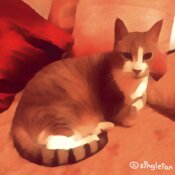 TS CAT 1 E MASTER