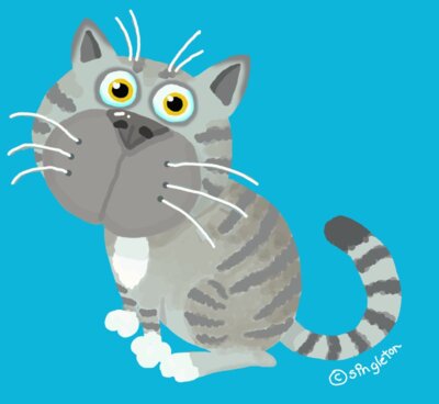 CAT Grey PRINT blue BG