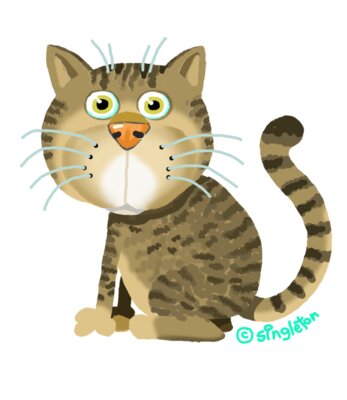 CAT Hazel PRINT Trans BG