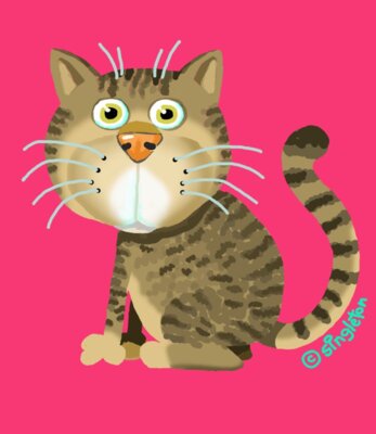 CAT Hazel PRINT Pink BG