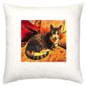 CAT-1-G-CUSHION
