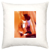 CAT-1-M-Cushion