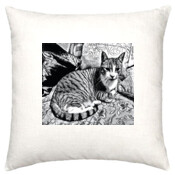 CAT-1-H-Cushion