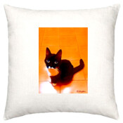 CAT-3-A-Cushion