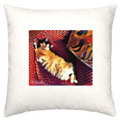 CAT-1-J-Cushion