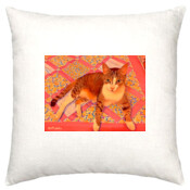 CAT-2-K-Cushion