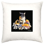 CAT-5-B-Cushion