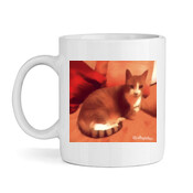 CAT-1-E-Mug